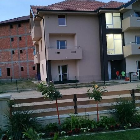 Srebrna Nit Apartment Veliko Gradiste Exterior photo
